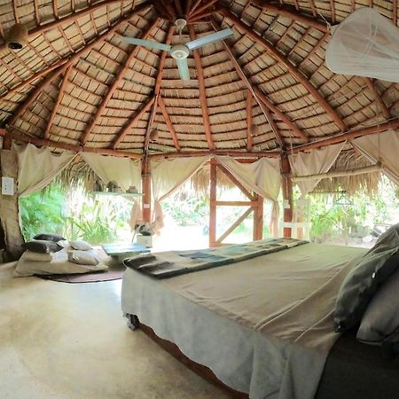 ホテル Dream Glamping Jungle Bohio ラス・テレナス エクステリア 写真