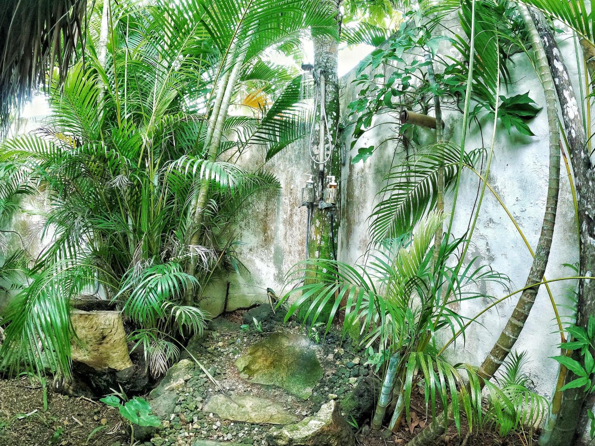 ホテル Dream Glamping Jungle Bohio ラス・テレナス エクステリア 写真