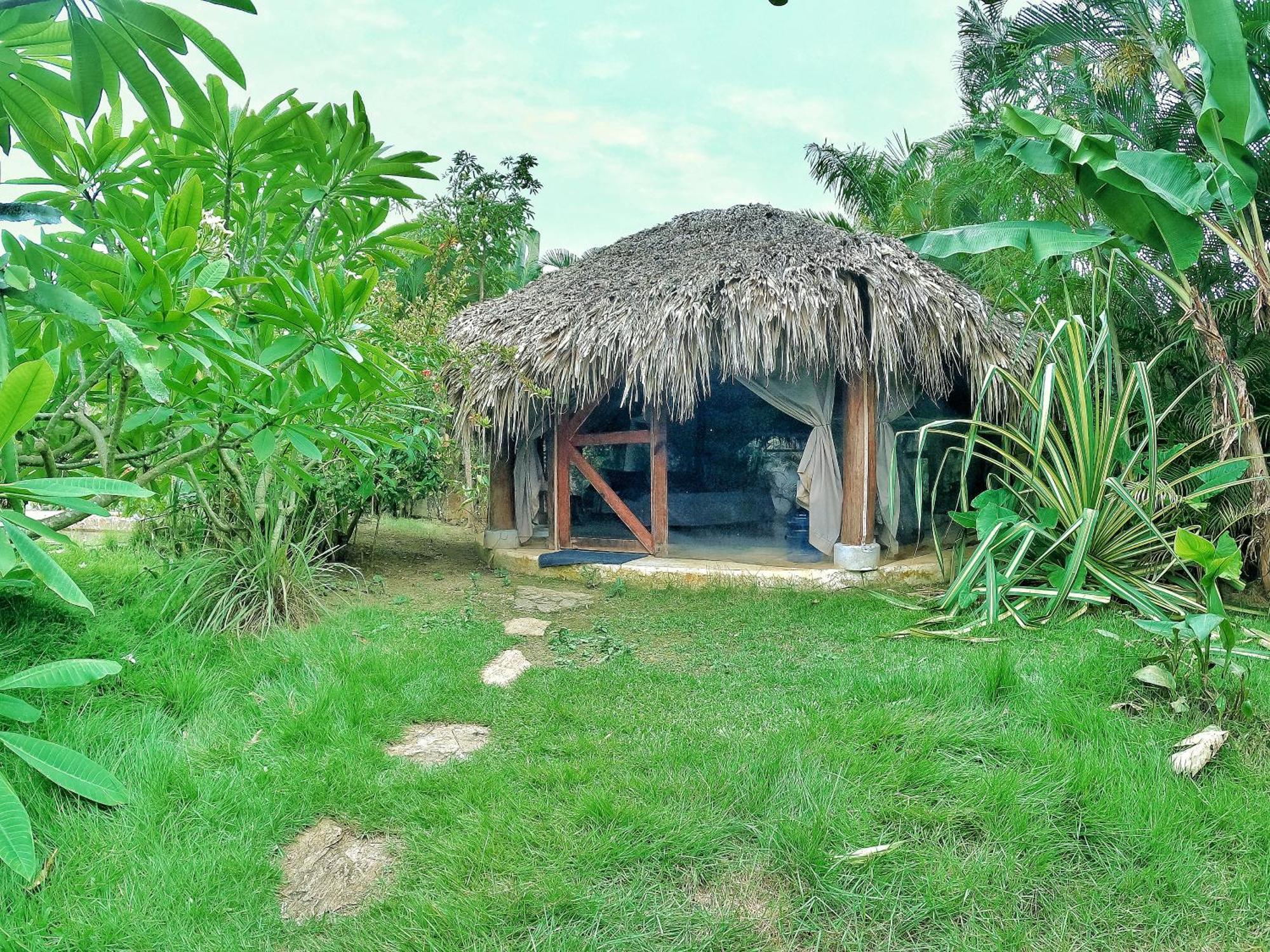 ホテル Dream Glamping Jungle Bohio ラス・テレナス エクステリア 写真